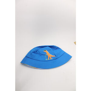 Dinosaur riding scooter kids 4–6 X blue bucket sun hat